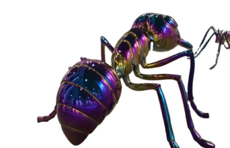 Modern Metal Garden Ti-coated Ant Sculpture For Decoratio