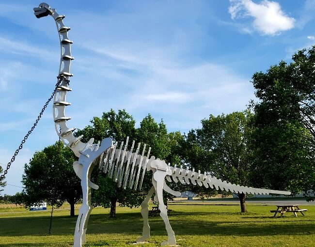 large metal dinosaur yard art (4)