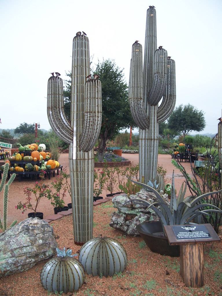 metal cactus yard art near me (1)